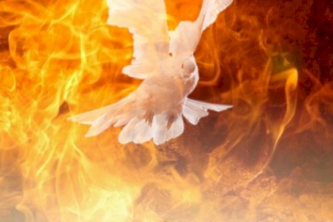 SPREADING LIKE WILDFIRE- IT'S LIFE IN THE SPIRIT SEMINARS