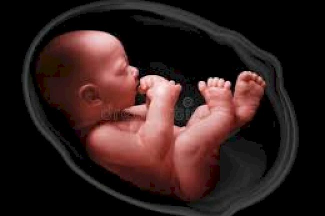 At War with Satan for the Unborn