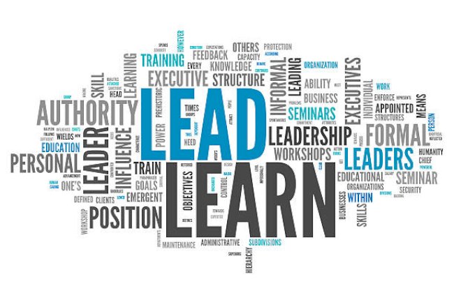 Embracing Resonant Leadership: The Power of Trust, Transparency, and Core Values