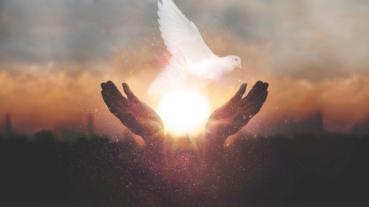 Images Of The Holy Spirit From Scripture