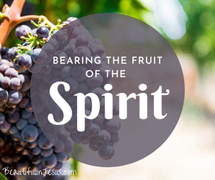Signs of Renewal in the Church: Is It So In The Charismatic Renewal?