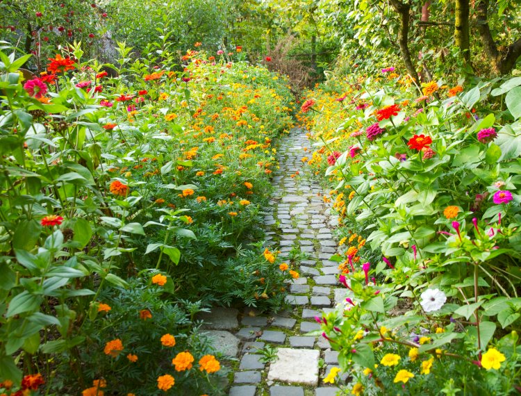 Cultivating the Garden of Our Souls
